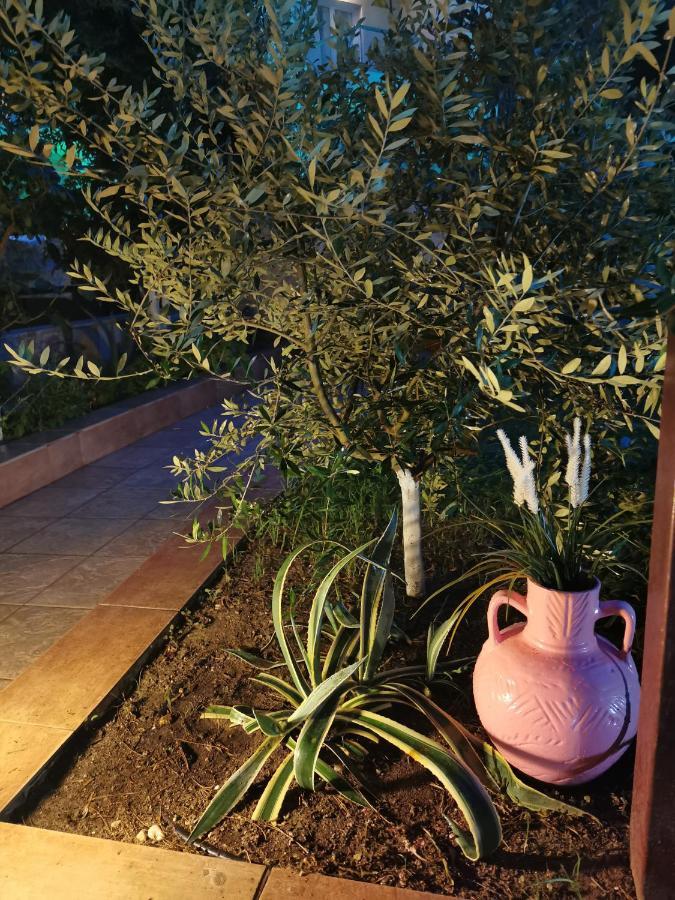 Purple_rose_apartment Chaniotis