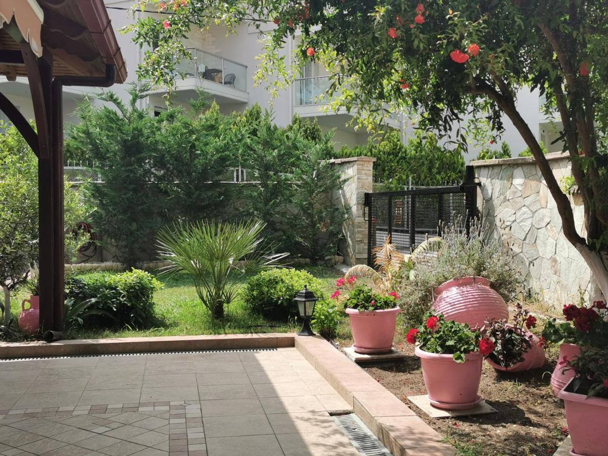Purple_rose_apartment