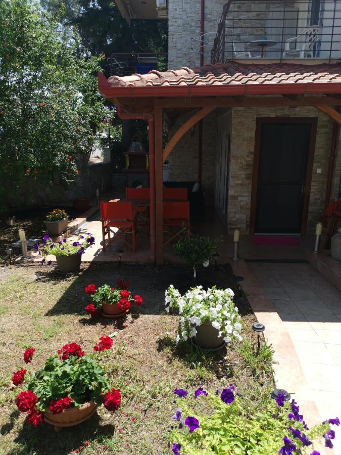 Purple_rose_apartment Chaniotis